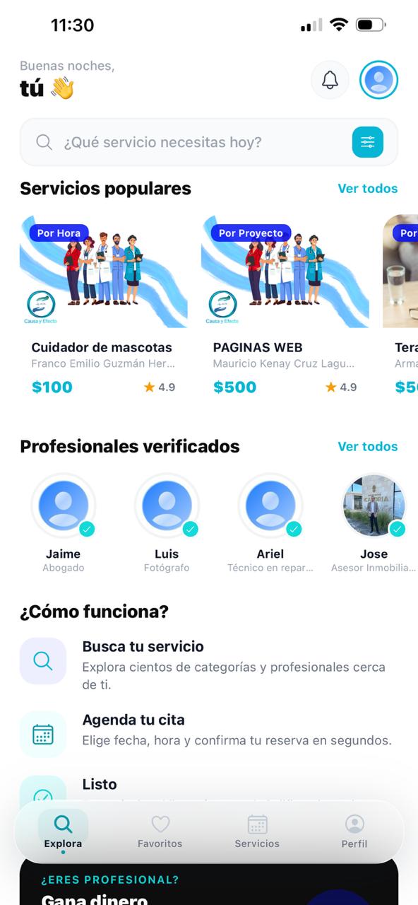 Servicios populares y profesionales verificados en la app Causa y Efecto