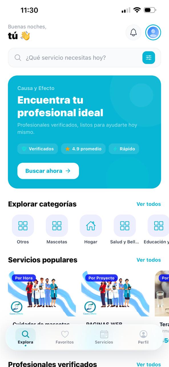 Pantalla principal de la app Causa y Efecto mostrando búsqueda y categorías de servicios